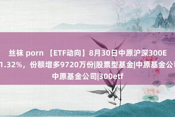 丝袜 porn 【ETF动向】8月30日中原沪深300ETF基金涨1.32%，份额增多9720万份|股票型基金|中原基金公司|300etf