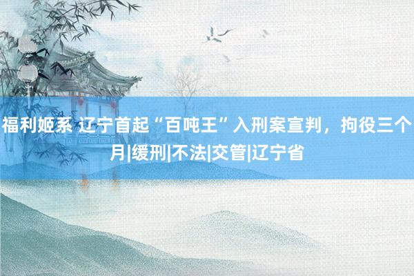 福利姬系 辽宁首起“百吨王”入刑案宣判，拘役三个月|缓刑|不法|交管|辽宁省