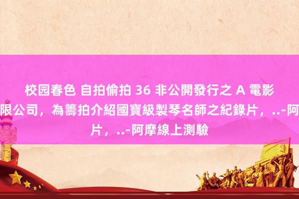 校园春色 自拍偷拍 36 非公開發行之 A 電影事業股份有限公司，為籌拍介紹國寶級製琴名師之紀錄片，